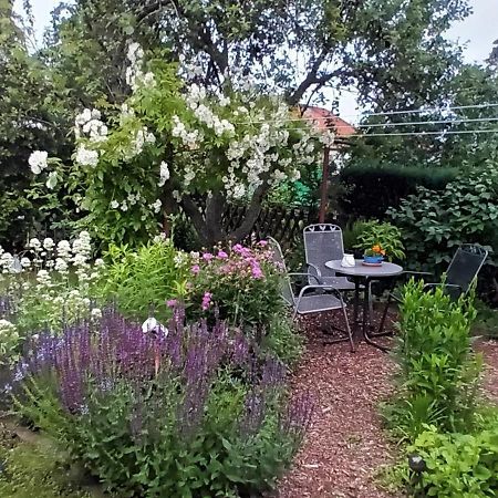 Spatzennest Wernigerode Bagian luar foto