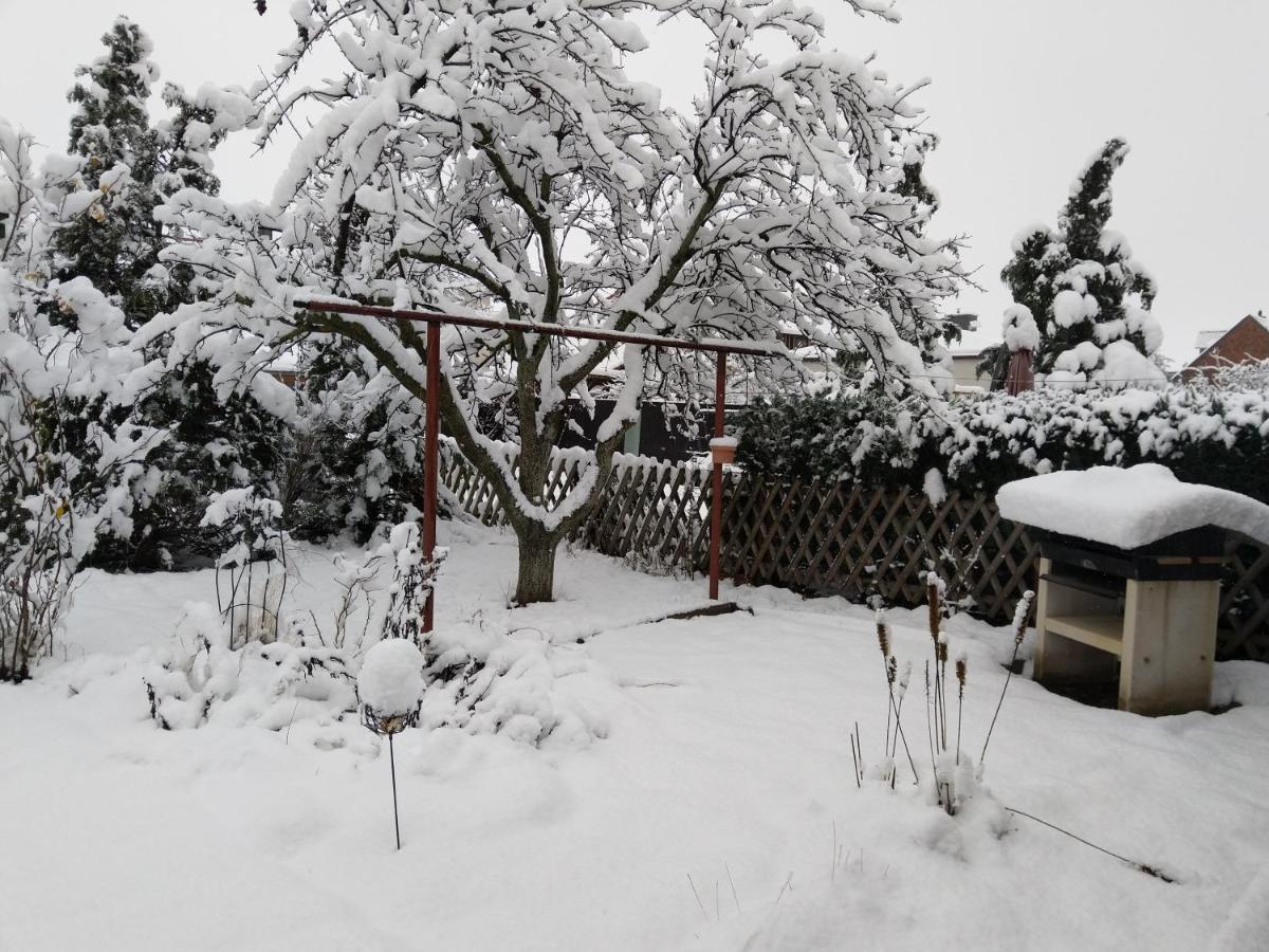 Spatzennest Wernigerode Bagian luar foto