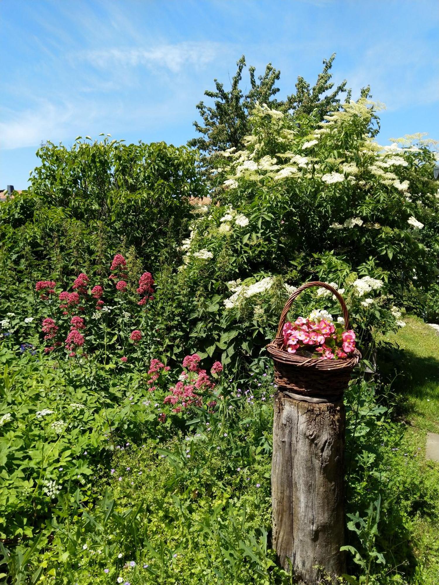 Spatzennest Wernigerode Bagian luar foto